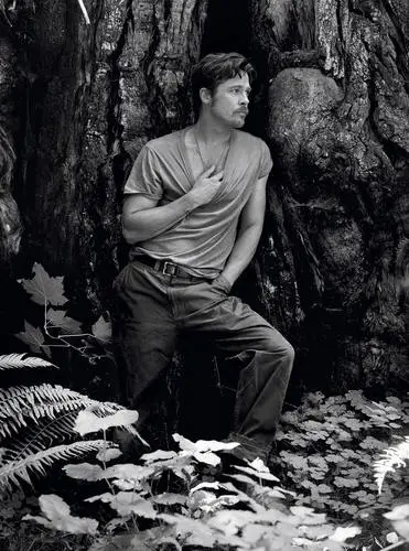 Brad Pitt Wall Poster picture 347383