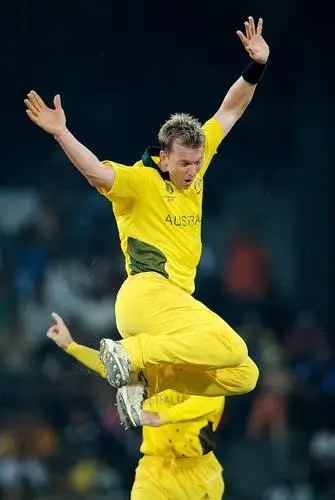 Brett Lee Wall Poster picture 202744