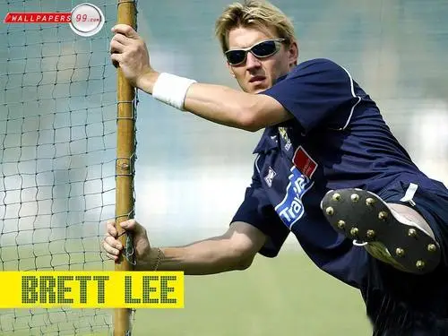 Brett Lee Jigsaw Puzzle picture 202769