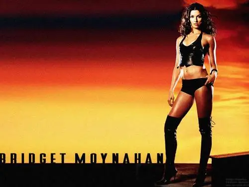 Bridget Moynahan Wall Poster picture 128635