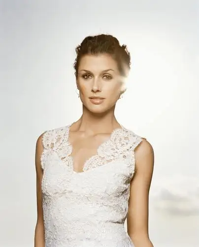 Bridget Moynahan Wall Poster picture 571561