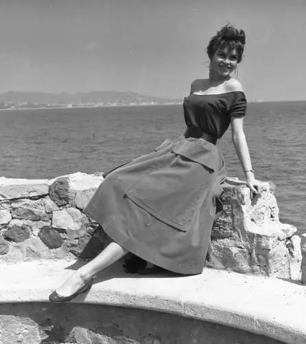 Brigitte Bardot Fridge Magnet picture 571837