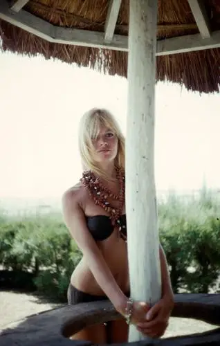 Brigitte Bardot Fridge Magnet picture 571858