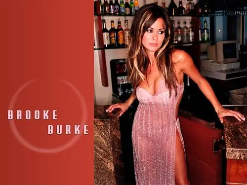 Brooke Burke Jigsaw Puzzle picture 129005