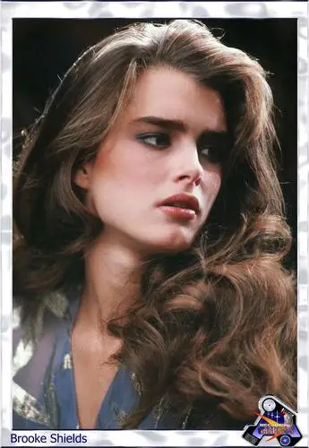 Brooke Shields Wall Poster picture 30302