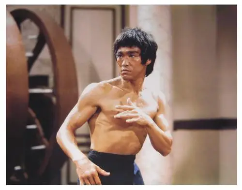 Bruce Lee Jigsaw Puzzle picture 572606