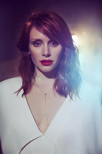 Bryce Dallas Howard Jigsaw Puzzle picture 577972