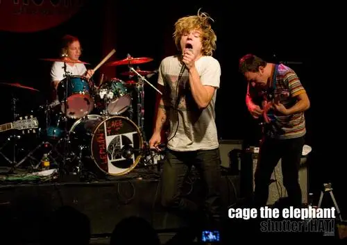 Cage the Elephant Fridge Magnet picture 203144