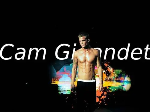 Cam Gigandet Wall Poster picture 92193