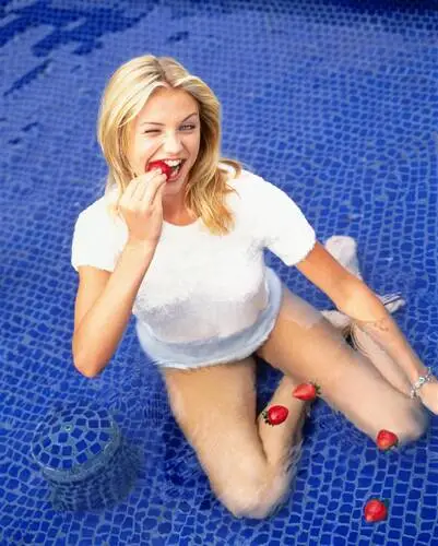 Cameron Diaz Wall Poster picture 4082