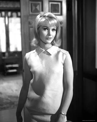 Carol Lynley Wall Poster picture 243996