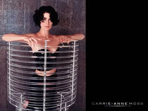 Carrie-Anne Moss Wall Poster picture 129351