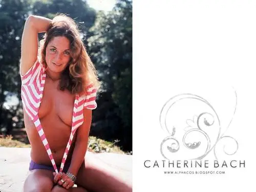 Catherine Bach Wall Poster picture 129461