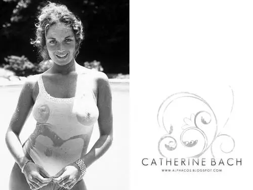 Catherine Bach Image Jpg picture 129465