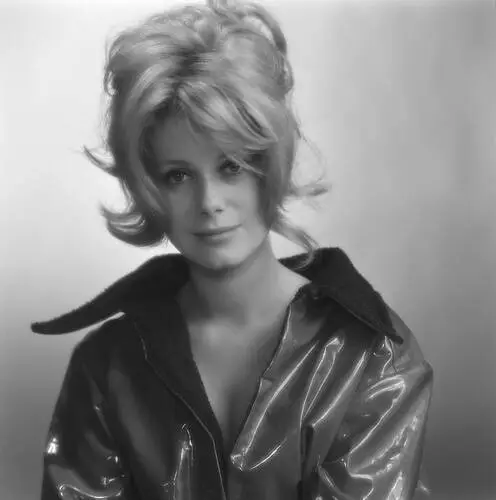 Catherine Deneuve Wall Poster picture 275991