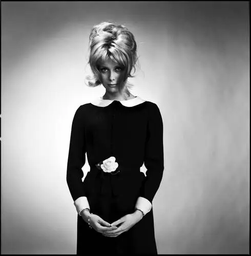 Catherine Deneuve Wall Poster picture 275995