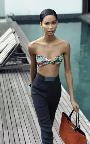 Chanel Iman Wall Poster picture 112210
