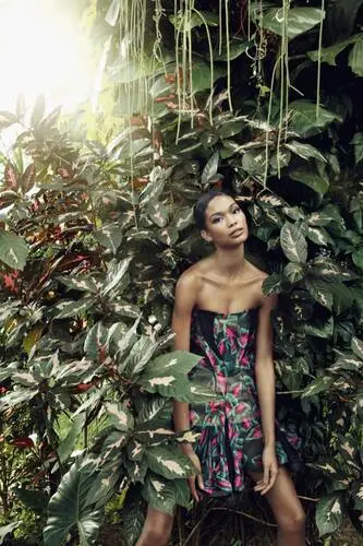 Chanel Iman Jigsaw Puzzle picture 112213