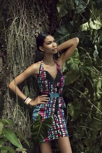 Chanel Iman Jigsaw Puzzle picture 112215