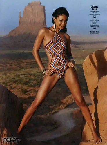 Chanel Iman Wall Poster picture 348331