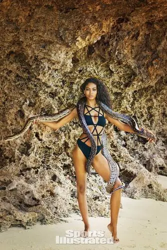 Chanel Iman Wall Poster picture 583924