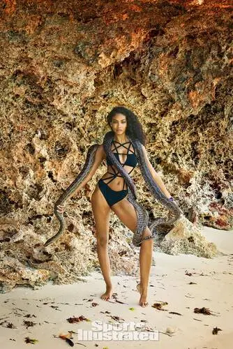 Chanel Iman Jigsaw Puzzle picture 583925