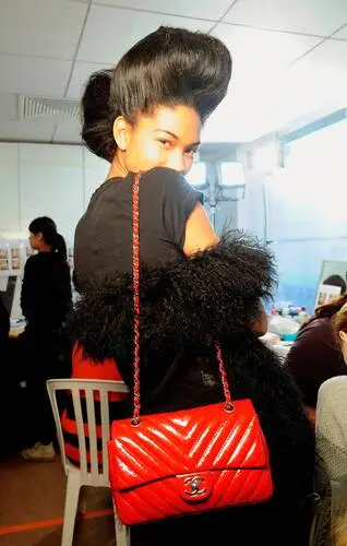Chanel Iman Drawstring Backpack - idPoster.com