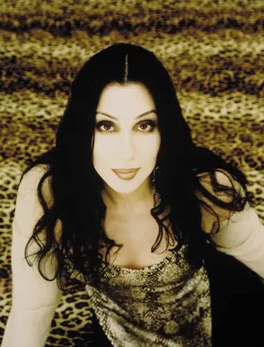Cher Wall Poster picture 31141