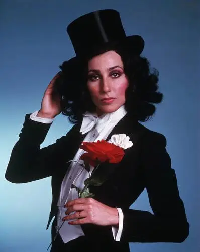 Cher Jigsaw Puzzle picture 348392