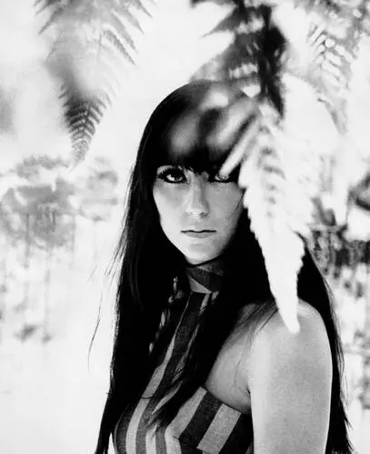 Cher Image Jpg picture 5220