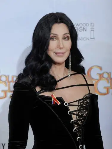 Cher Jigsaw Puzzle picture 79214