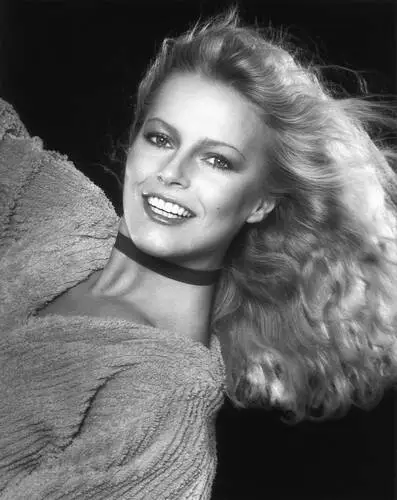 Cheryl Ladd Wall Poster picture 584433