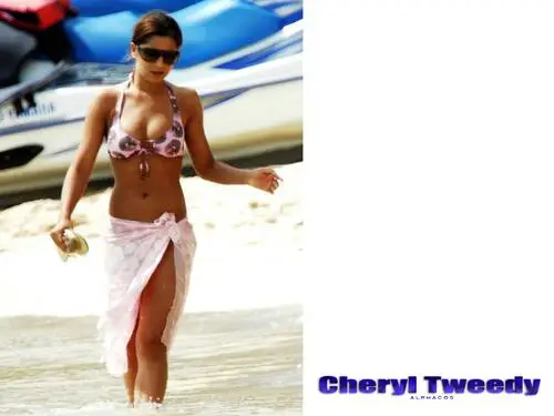 Cheryl Tweedy Wall Poster picture 129732
