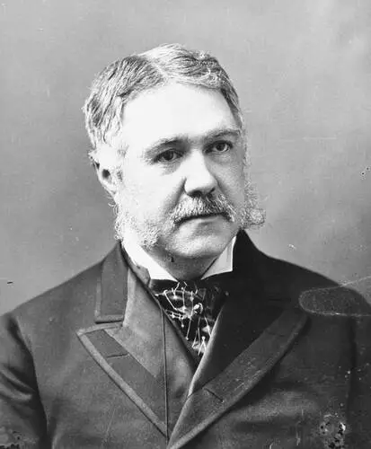 Chester Alan Arthur Wall Poster picture 478273
