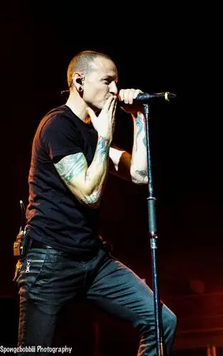 Chester Bennington Wall Poster picture 695631