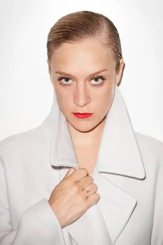 Chloe Sevigny Wall Poster picture 595264
