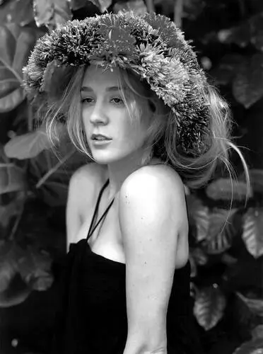 Chloe Sevigny Wall Poster picture 68625