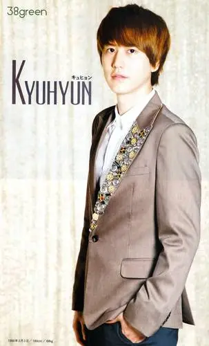 Cho Kyu-hyun Wall Poster picture 213572