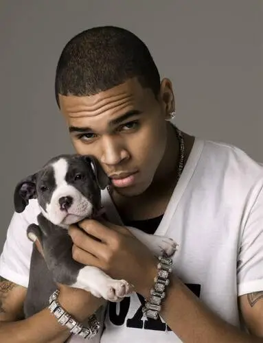 Chris Brown Wall Poster picture 480976