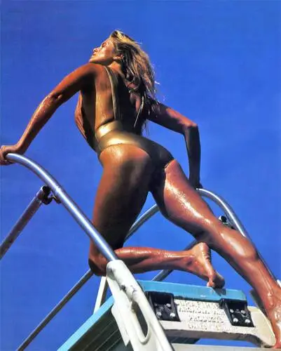 Christie Brinkley Wall Poster picture 304661