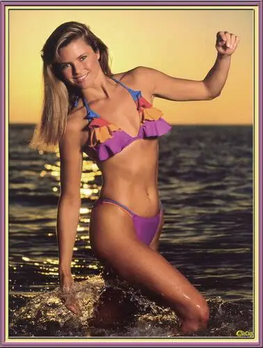 Christie Brinkley Wall Poster picture 92315