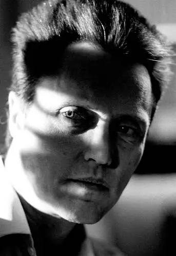 Christopher Walken Wall Poster picture 496729
