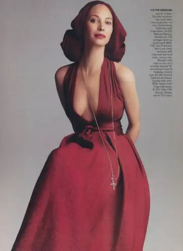 Christy Turlington Wall Poster picture 605291