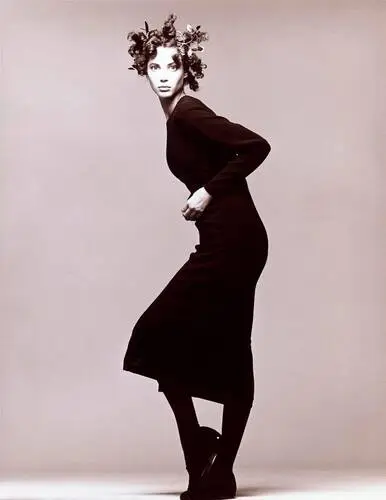 Christy Turlington Wall Poster picture 605298