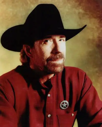 Chuck Norris Wall Poster picture 523741