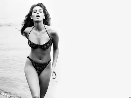 Cindy Crawford Jigsaw Puzzle picture 130706