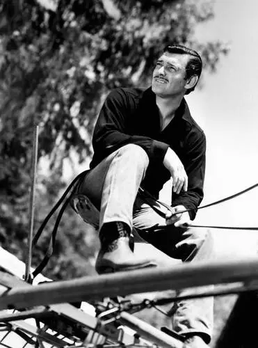 Clark Gable Wall Poster picture 279423