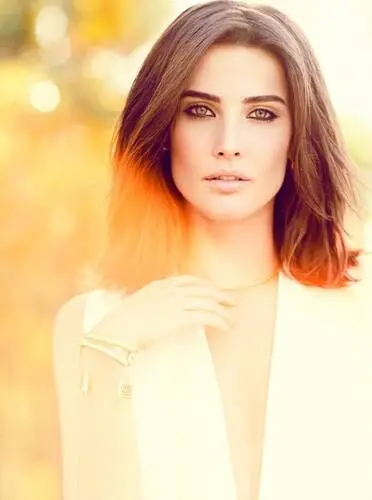 Cobie Smulders Wall Poster picture 606381