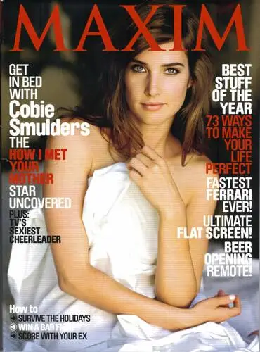 Cobie Smulders Wall Poster picture 82520