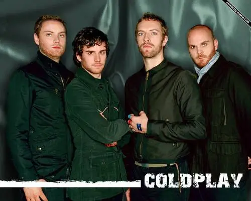 Coldplay Fridge Magnet picture 192724